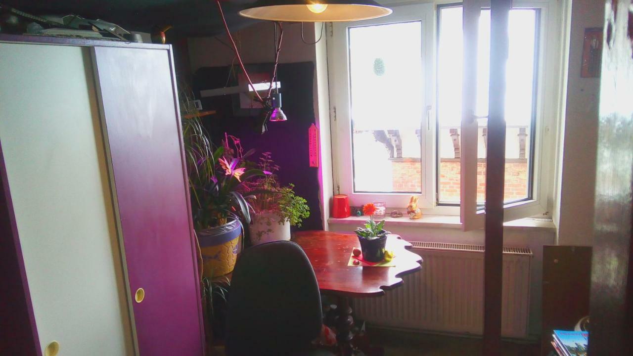 Citycentre Room For 1 Female Persons - Alternative Plus 1 Child Frankfurt am Main Buitenkant foto